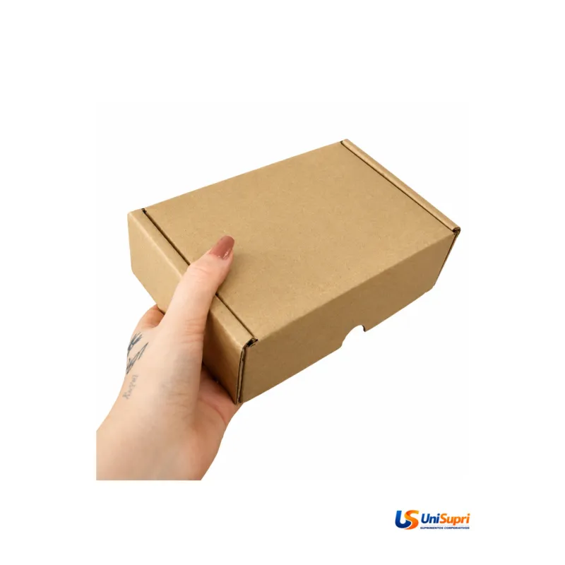 Caixa De Papelão Sedex Pac Montável 16x11x5