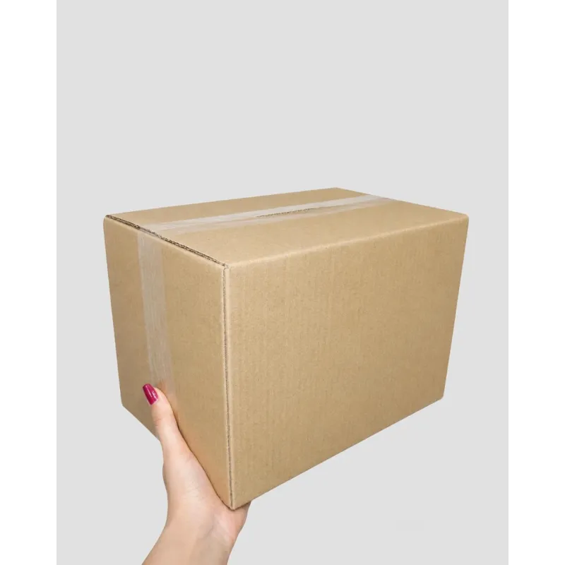Caixas De Papelão Envio Maleta Caixinha Correio 18x13x9